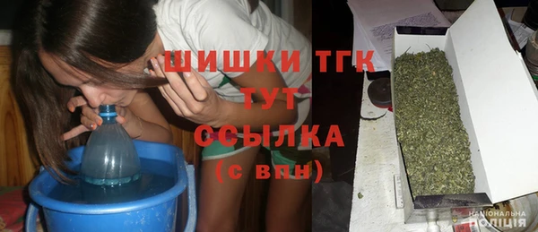 тгк Аркадак