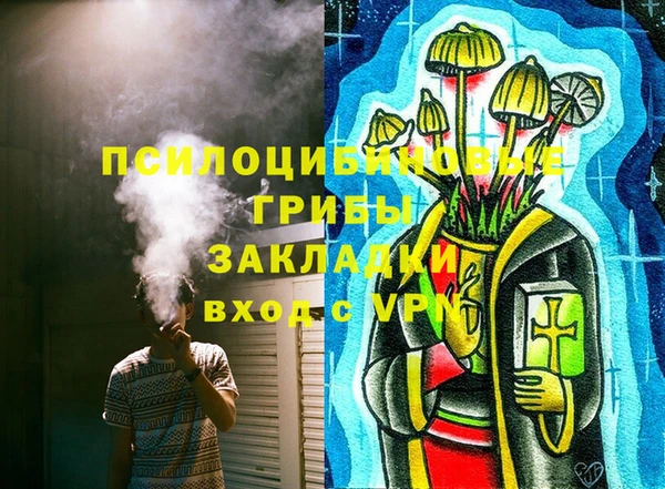 тгк Аркадак