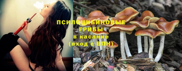дживик Армянск
