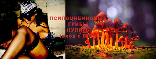 2c-b Алексин