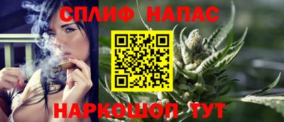 сатива Гагарин