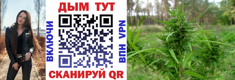 Марихуана марихуана Нижний Тагил